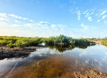 the-gambia/kanifing/attraction/kanuma-river-view-and-swimming