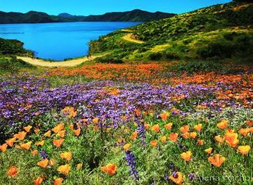 california/temecula/attraction/diamond-valley-lake-marina