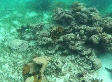 belize/belize-city/attraction/belize-r-us