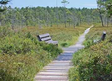 maine/biddeford/attraction/saco-heath-preserve