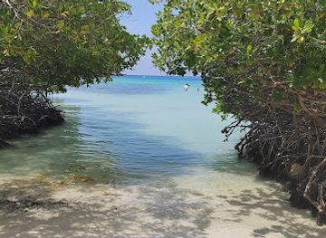 aruba/mangel-halto/attraction/savaneta-beach