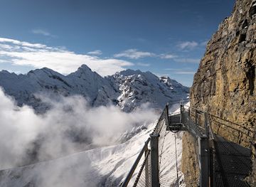 Thrill Walk, Birg