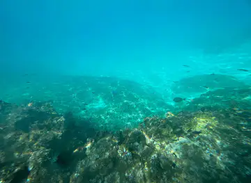 Snorkel Sculpture Garden