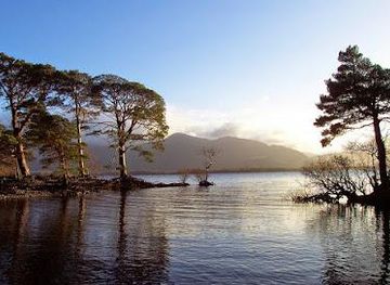 ireland/county-tipperary/attraction/paddywagon-tours