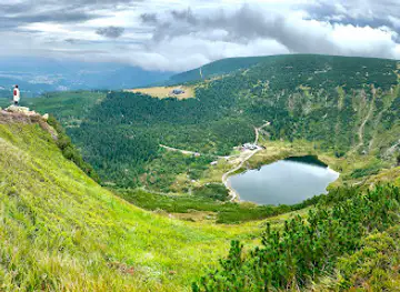 The Small Pond