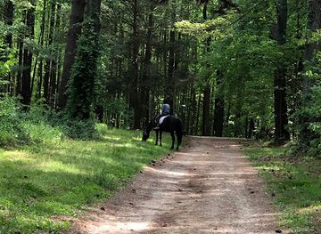 delaware/lums-pond-state-park/attraction/blackbird-state-forest