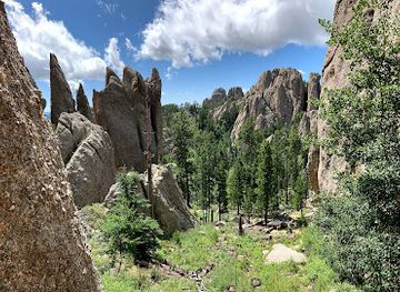 south-dakota/black-hills/attraction/needles-highway