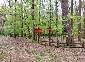 poland/greater-poland/attraction/monastery-larchs-nature-reserve