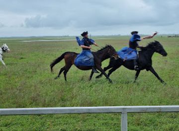 hungary/kunsag/attraction/apajpuszta