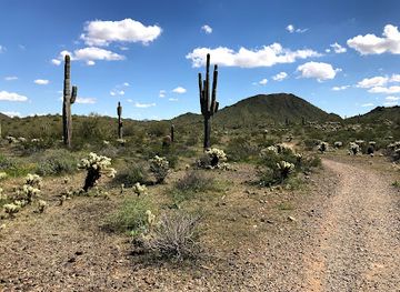 Sonoran Preserve -Desert Vista Trailhead