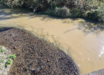 romania/deva/attraction/varsare-zlasti-in-cerna