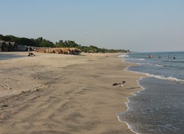 panama/pacific-coast/attraction/playa-santa-clara