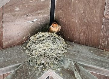 iowa/ottumwa/attraction/central-addition-park