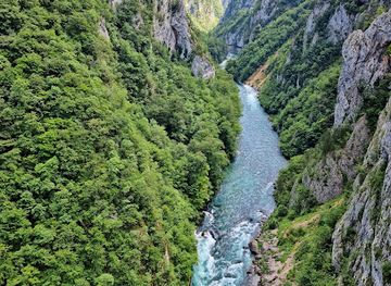 Vidikovac Kanjon Tare / Viewpoint Tara Canyon