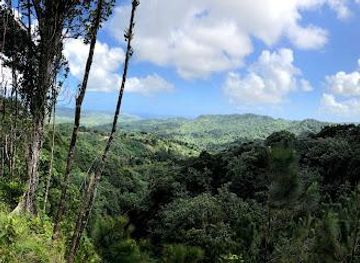 saint-lucia/anse-la-raye/attraction/barre-de-l-isle-ridge