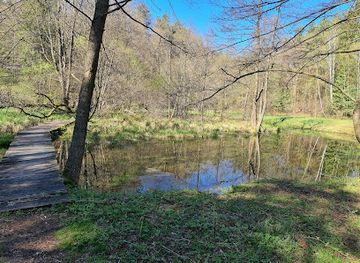 poland/roztocze-national-park/attraction/uroczysko-belfont