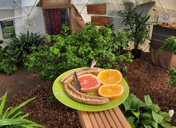 latvia/jurmala/attraction/motylarnia