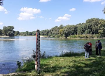slovenia/mura/attraction/mura-es-a-drava-talalkozasa