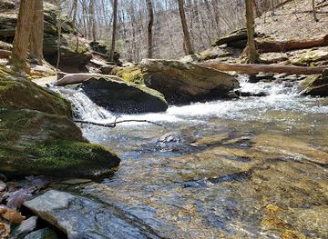 pennsylvania/lower-susquehanna-valley/attraction/climbers-run-nature-center