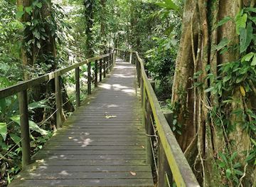 costa-rica/cahuita-national-park/attraction/snorkel-tour