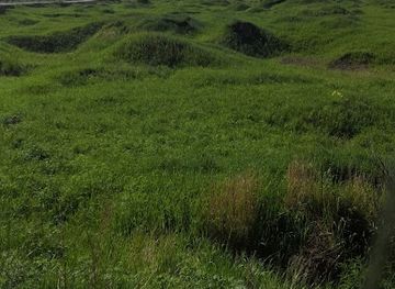 mongolia/mongolian-manchurian-grassland/attraction/arxan-national-forest-park