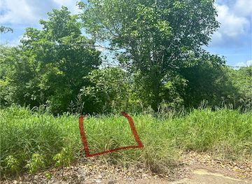 puerto-rico/culebra/attraction/playa-resaca-trailhead