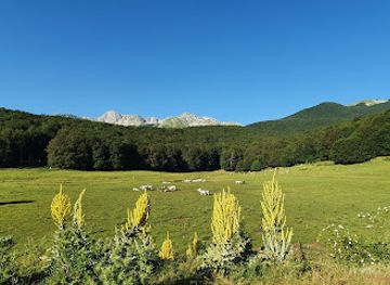italy/abruzzo-national-park/attraction/pianoro-campitelli