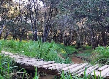 malawi/mzuzu/attraction/botanic-gardens