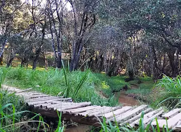 Botanic Gardens