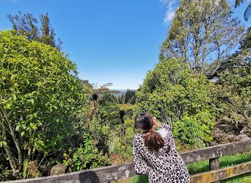 new-zealand/waitomo-caves/attraction/haggas-lookout