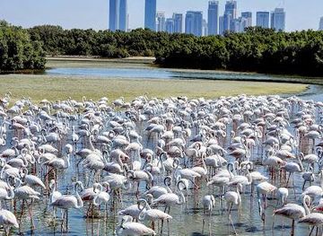 united-arab-emirates/umm-al-quwain/attraction/ras-al-khor-wildlife-sanctuary