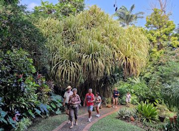 barbados/animal-flower-cave/attraction/andromeda-botanic-gardens