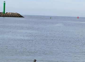 belgium/ostend/attraction/zeehondjes-spotten