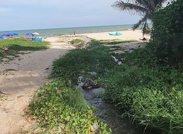 vietnam/phan-thiet/attraction/bai-bien-ham-tien