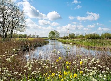 netherlands/delft/attraction/abtswoudse-bos