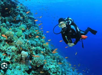 india/tarkarli/attraction/malvan-scuba-diving