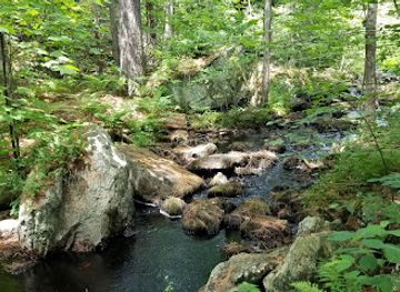 new-hampshire/merrimack-valley/attraction/manchester-cedar-swamp-preserve-tnc