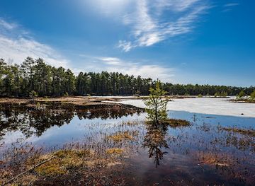 estonia/alutaguse/attraction/selisoo-matkarada