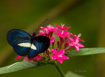 colombia/risaralda-department/attraction/bioparque-bonita-farm