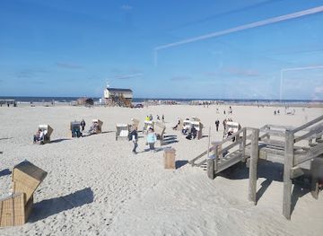 germany/north-frisia/attraction/schleswig-holstein-wadden-sea-national-park