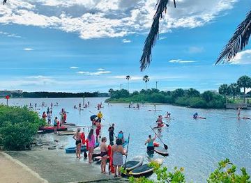 florida/daytona-beach/attraction/three-brothers-dolphin-manatee-adventure-tour-of-daytona-beach