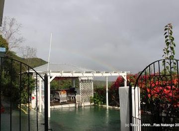 jamaica/savanna-la-mar/attraction/ahhh-ras-natango-gallery-and-garden