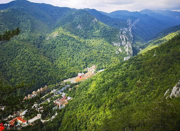 romania/caras-severin/attraction/puntea-veche-herculane
