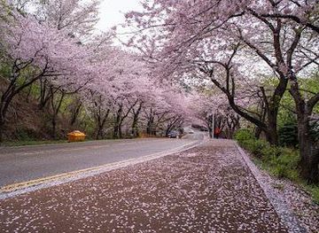 south-korea/busan/attraction/dalmaji-gil
