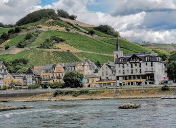 germany/rhine-valley/attraction/assmannshauser-hollenberg