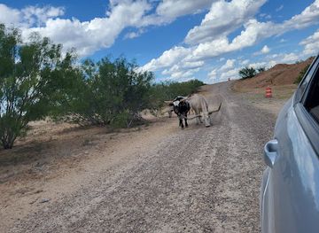 texas/laredo/attraction/laredo-safari-and-adventure-park