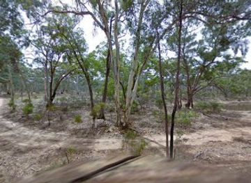 australia/grampians/attraction/deep-lead-flora-and-fauna-reserve