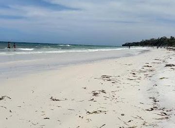 kenya/diani-beach/attraction/nyali-beach