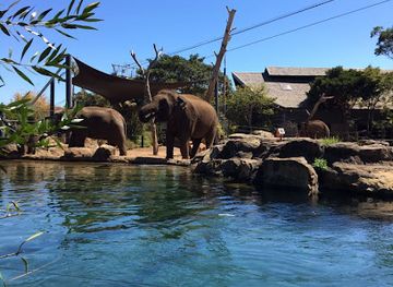 australia/far-west/attraction/wild-life-sydney-zoo