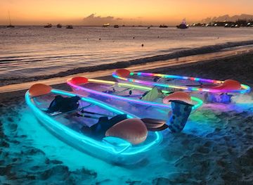 barbados/saint-philip/attraction/blue-waves-cruises